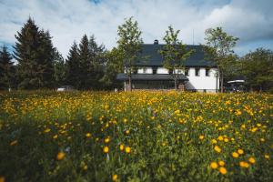 Vonkajšia záhrada v ubytovaní Apartmány Jurica Boží Dar 126