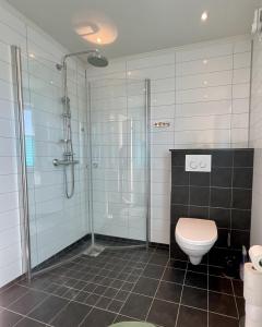 a bathroom with a shower and a toilet at Leknes Panorama Lofoten in Leknes