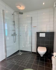 ห้องน้ำของ Leknes Panorama Lofoten +24 ภาพ