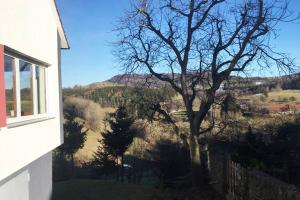 a tree in front of a window with a mountain at Ferienwohnung mit fantastischem Ausblick & SmartTv in Waldstetten +4 photos