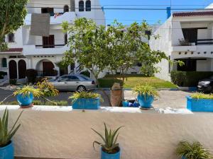 Zahrada ubytování Casa Cabo Negro