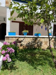 Zahrada ubytování Casa Cabo Negro