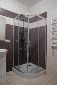 W łazience znajduje się prysznic ze szklanymi drzwiami. w obiekcie Willa Na Nehringa w Poznaniu