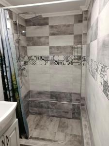 a shower with a glass door in a bathroom at Casa Tâmplarului in Giuleşti +16 photos