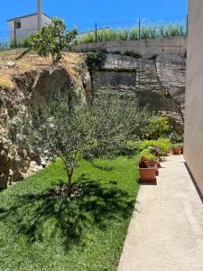Vonkajšia záhrada v ubytovaní Apartmani Miki