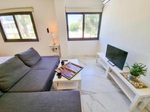 Una sala de estar con un sofá y un televisor. en Happy Homes Paradise, en Lárnaca