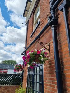 Galeriebild der Unterkunft Tramway hotel in Pakefield