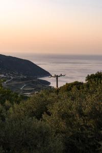 Galería fotográfica de Key to Sunset en Angón 26 fotos más