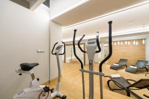 Fitness centrum a/nebo fitness zařízení v ubytování Hotel Vivaldi