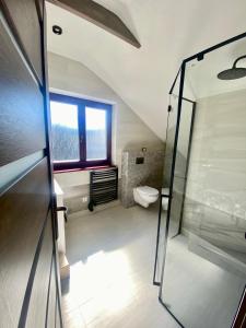 a bathroom with a shower and a toilet at Chalet Rosa in Ružiná
