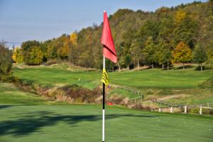 una bandiera rossa in cima a un campo da golf di FORESTERIA DEL GAVI a  Tassarolo