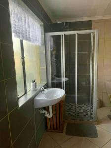 a bathroom with a sink and a shower at Gerty's in Pretoria