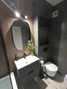 a bathroom with a sink and a toilet and a mirror at Apartament Bernata-Śródka in Poznań