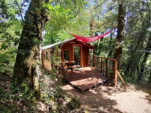 Cabaña pequeña en el bosque con terraza de madera en Chalet Ekowün, en Payrignac