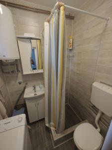 een badkamer met een douche, een toilet en een wastafel bij Apartman Anastasija in Surčin