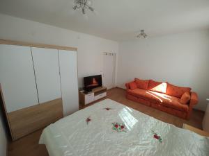 een woonkamer met een bed en een bank bij Apartman Anastasija in Surčin