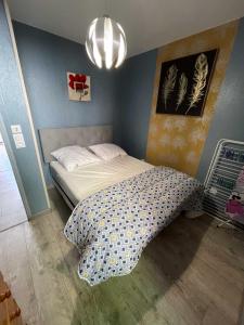 מיטה או מיטות בחדר ב-Le Martin pêcheur, Appartement proche hyper centre
