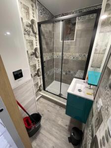 Kúpeľňa v ubytovaní Le Martin pêcheur, Appartement proche hyper centre