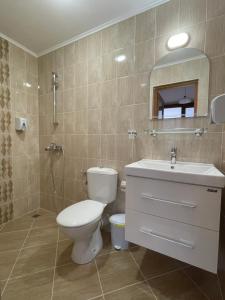a bathroom with a toilet and a sink and a shower at Villa Helios in Stavros