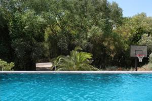 a blue swimming pool with a basketball hoop at Casa Los Alamos in La Muela