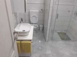 un bagno con wc, lavandino e doccia di Apartman Dalal - with access to river Una a Bihać Altre 18 foto