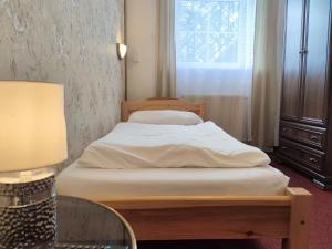 Postel nebo postele na pokoji v ubytování Hotel Dejmalik