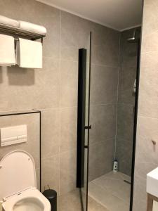 a bathroom with a shower stall and a toilet at Modern and New Apartments in North of Timisoara - PNM Residence in Dumbrăviţa