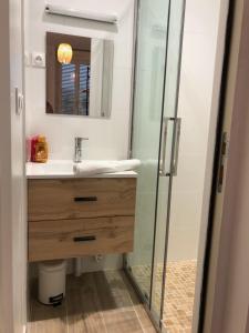 a bathroom with a sink and a shower at Le Logis de Virginie in Rochefort