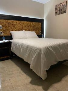 Foto dalla galleria di Hotel Central Pirámides a San Martín de las Pirámides Altre 34 foto