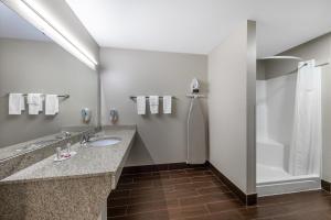 Koupelna v ubytování Days Inn by Wyndham St. Robert Waynesville/Ft. Leonard Wood + 18 fotografií