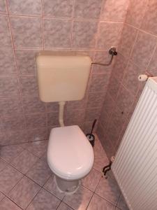 a bathroom with a white toilet in a tiled wall at Pocitniska hisa na Pohorju in Pohorje