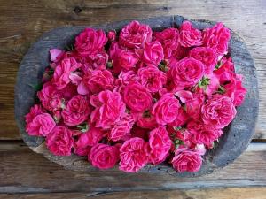 um ramo em forma de coração de rosas cor-de-rosa numa mesa de madeira em Bourg Saint Maurice Les Arcs - maisonnette grand confort dans charmant village de montagne ! em Bourg-Saint-Maurice