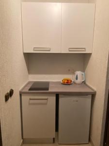 Kuchyň nebo kuchyňský kout v ubytování Guest House Romansa
