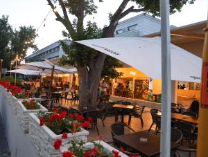 a patio with tables and chairs and a tree at Hotel Venus in Mamaia