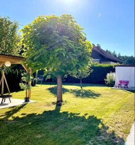 Vonkajšia záhrada v ubytovaní StylishHomes NEST - A Cosy Adventure