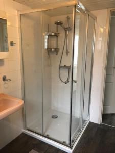 een douche met een glazen deur in de badkamer bij Vakantiehuis “Het Zeepaard” in Voorthuizen