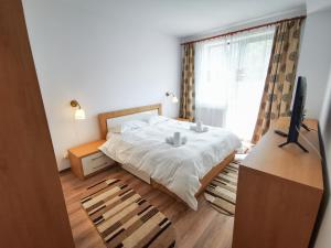 a bedroom with a bed and a television and a window at Orchid Luxury Apartment Sinaia in Sinaia