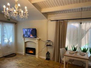 a living room with a fireplace and a tv at Vakantiehuisje De Waterhoek in Geel