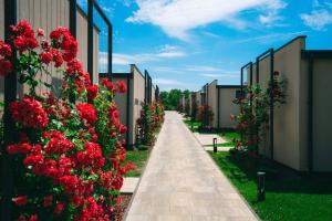Zahrada ubytování San Servolo Wellness Homes