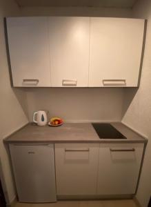 Kuchyň nebo kuchyňský kout v ubytování Guest House Romansa