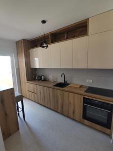 Кухня или мини-кухня в Apartman ALEKSA
