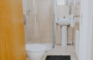 a bathroom with a toilet and a sink at Garden Lane Backpackers in Dublin