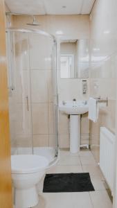 a bathroom with a shower toilet and a sink at Garden Lane Backpackers in Dublin