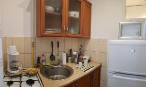 a kitchen with a sink and a white refrigerator at Rávágy Apartman in Kecskemét