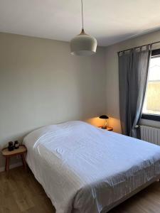 1 dormitorio con cama blanca y ventana en Appartement Les Camélias proche La Rochelle en Périgny