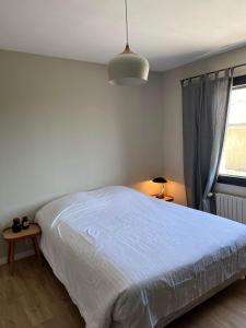 - une chambre avec un lit blanc et une fenêtre dans l'établissement Appartement Les Camélias proche La Rochelle, à Périgny