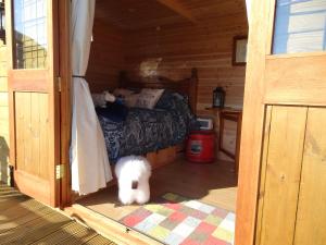 East PennardThe Lazy Shepherd的相册照片