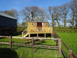 a tiny house in a field next to a fence at The Lazy Shepherd in East Pennard