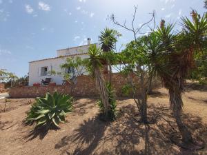 a house with palm trees in front of it at Casa Balbi in Sant Francesc Xavier