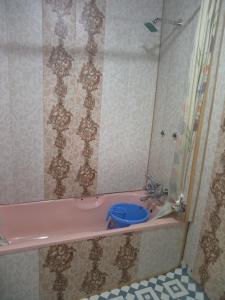 シュリーナガルにあるNormandi group of Houseboatsのピンクの浴槽と青いトイレのあるバスルーム